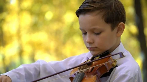 Young guy playing the violin in the autumn park Stock Footage 81007095