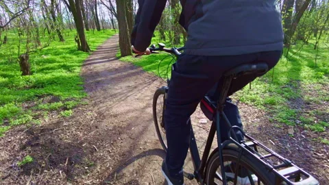 Young Guy Rides a Bicycle Along a Path in a Green Forest, Rear View in Slow Mo Video stock 181964101