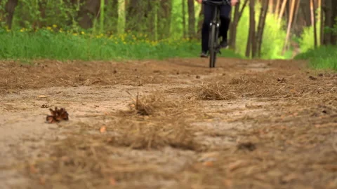 Young Guy Rides a Bicycle Along a Dusty Path in the Forest at Sunset Stock Footage 194544703