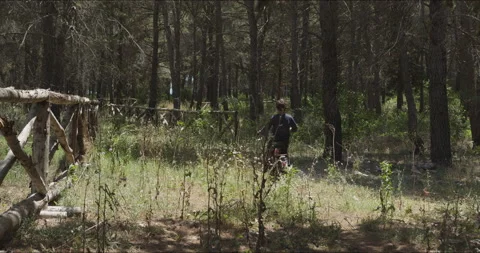 A young guy rides a motorcycle in a forest Stock Footage 146140558