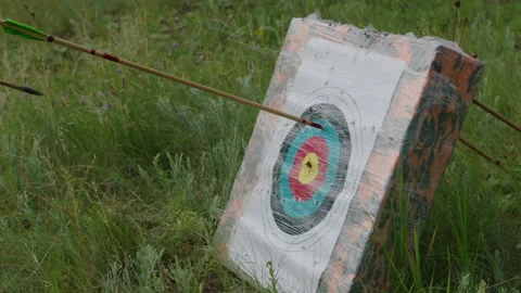 A young guy shoots a bow at a target, in nature, and hits the target, the arrow Stock Footage 155972533