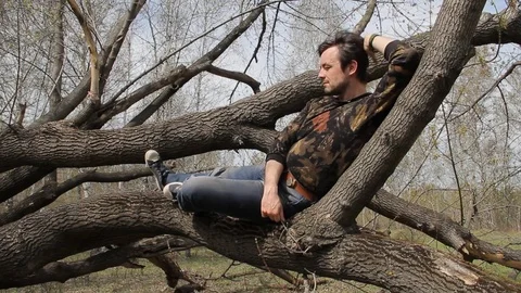 A young guy sitting in a tree Stock Footage 75336047