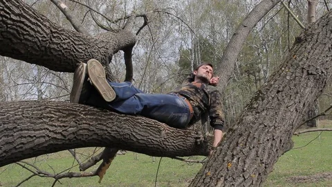 A young guy sitting in a tree Stock Footage 75336054