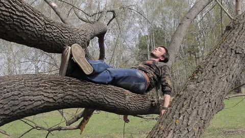 A young guy sitting in a tree Stock Footage 75336113