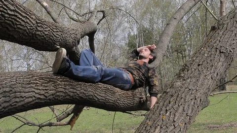 A young guy sitting in a tree Stock Footage 75336122