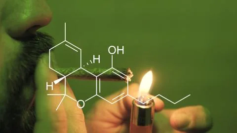 A young guy smoking a rolled jointer with weed buds inside in the green light Foto stock