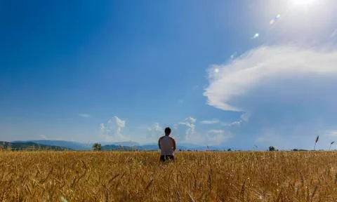 A young guy standing in the middle of a wheat field Stock Photos