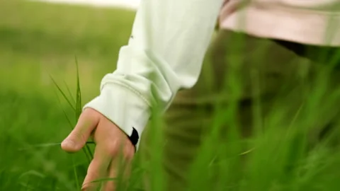 A young guy strokes the dense green grass with his hands while walking across th Stockbeeldmateriaal 162298671