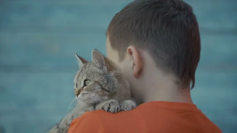 Young guy stroking a cat. Stock Footage 89592728