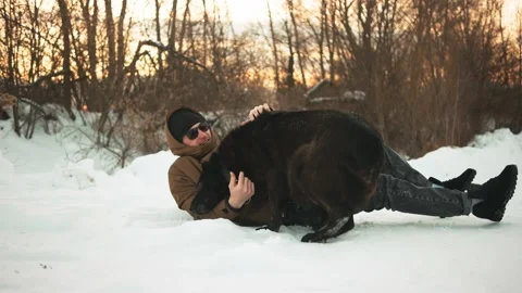 A young guy is stroking his dog. On open air. Winer. Stockbeeldmateriaal 150331575