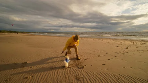 A young guy throws a stick to a small cute dog on the beach by the sea at sunset Stock Footage 172055734