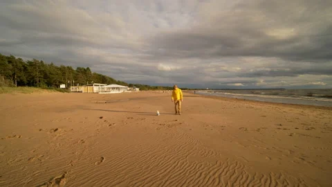 A young guy throws a stick to a small cute dog on the beach by the sea at sunset Stock Footage 197699918