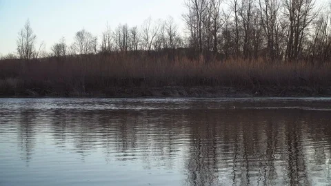 A young guy throws stones at the water. Fun on the riverbank.Close up Stock Footage 120698914