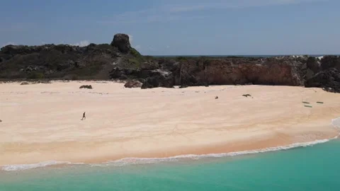 Young guy walking on the beach Stock Footage 300659403