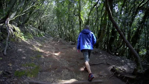 A young guy walks through Anaga National Park. A tourist in Anaga National Park Stock Footage 231496106