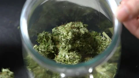 A young hand placing a dried herb homemade products into glass jar Stock Footage 160522878