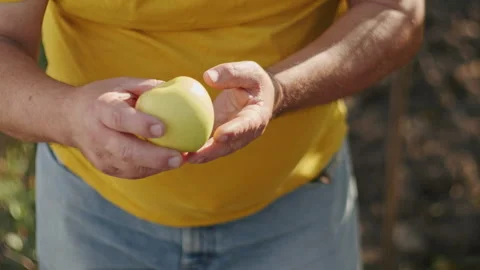 Young hands, ancient soil, a symphony of growth where each vegetable, each fruit 스톡 동영상 264142377