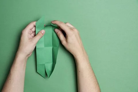 Young hands folding paper to make an origami clover, green paper and background Stock Photos