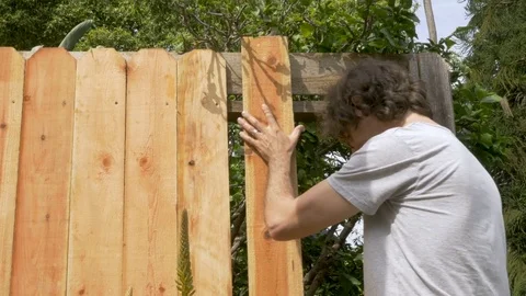 Young handsome man placing a new wooden board while repairing a fence Stock Footage 80499007