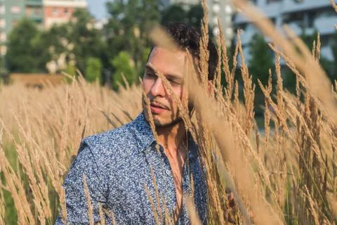 Young handsome man posing in a field Stock Photos