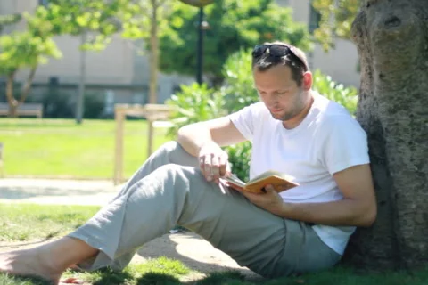 Young handsome man reading book in park Stock Footage 6525037