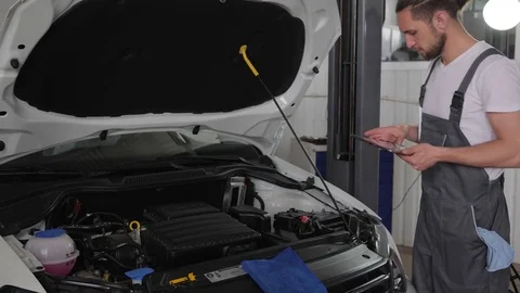 Proning Workshop Stock Videos – Royalty-Free HD & 4K Videos | Pond5