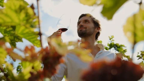 Young handsome vintner tasting red wine with enjoyment staying in wonderful Stock Footage 116989081