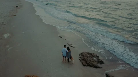 Young happy couple having fun with husky dog on beach Stock Footage 117360771