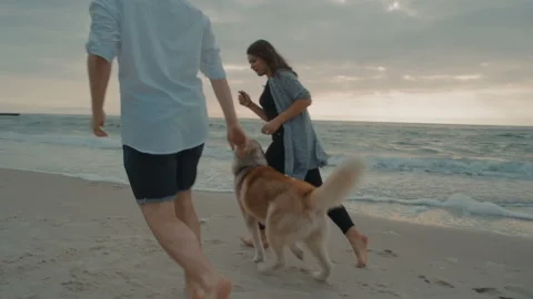 Young happy couple having fun with husky dog on beach Stock Footage 117362600