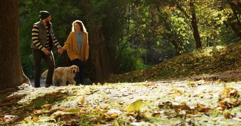Young happy couple strolling through the autumn park with a cute dog on the Stock Footage 82512683