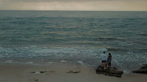 Young happy couple walking on beach with dog Stock Footage 117363256