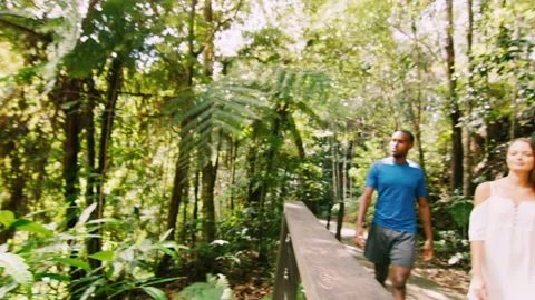 Young, happy, ethnically diverse couple walk in a forest and stop to look at the Video stock 199462943