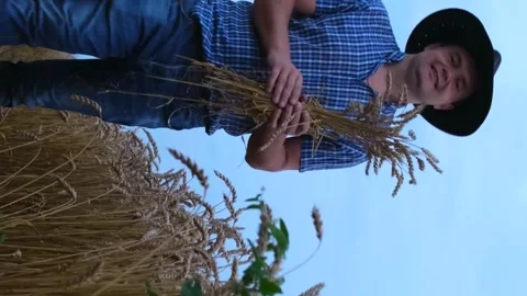 A young happy farmer holds ears of ripe wheat in his hands against the Video stock 250352547
