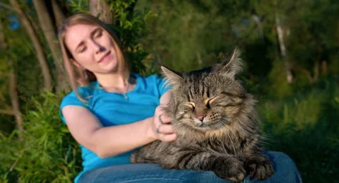 Young happy female petting domestic cat in nature Stock Footage