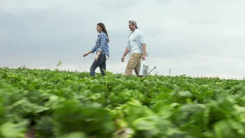Young happy lifestyle farming couple carrying water can/ walking through crop an Видео 199631776