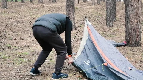 A young hiker setting up a tent in the pine forest during a spring hiking trip. Stock Footage 345496587