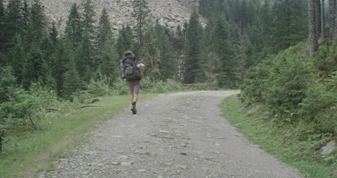 A Young Hiker Walking On A Trail Video stock 228970775
