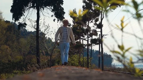 Young Hiker Walking under Trees. Travel Concept. Stock Footage 110905703