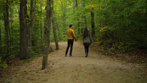 Young Hikers in Forest, Mountains, State Park Hikers Stock Footage 102401181