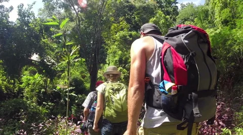 Young Hikers walking in rain forest. Stock Footage 51126045