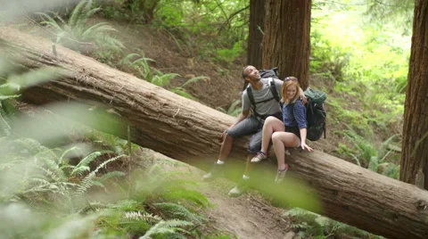 Young hiking couple sit close together on fallen tree Stock Footage 44790396