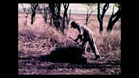 Young hunter after shooting world record maned lion, Tanzania 1937 動画素材 27240907