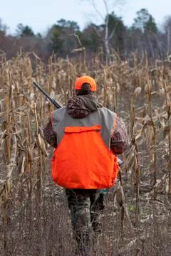 Young Hunter Stock-Fotos