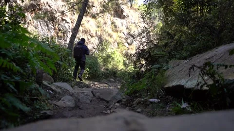 Young Indian boy exploring the forest. Young traveler trekking in the forest  Stock Footage 168213819