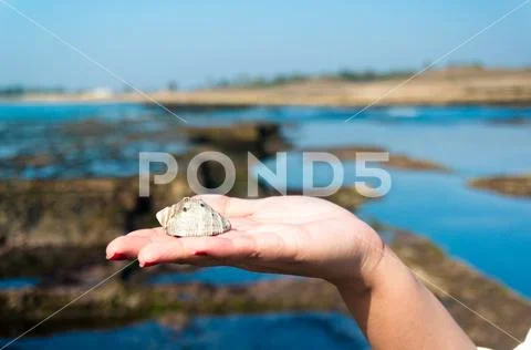 Young indian woman holding up a sea shell with the blue water pools in the ba Stock Photos