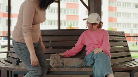 Young Individual Playing Gently With Pet In Park, Young Teenager Enjoys Calm And Video stock 324220952