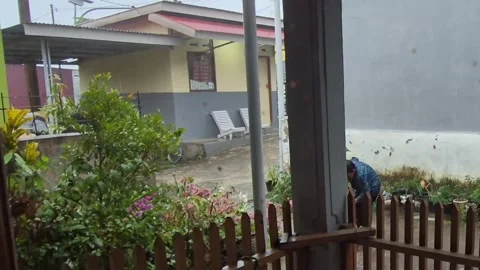 A young Indonesian schoolboy playing joyfully in the heavy rain Stock Footage 336400951