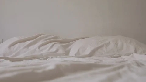 Young jack russel terrier sitting on bad and play with ball in loft room fun Stock Footage 116339414