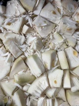 Young jackfruit Stock Photos