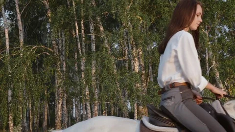 Young jockey girl riding on a white horse in a birch forest at sunset. Stock Footage